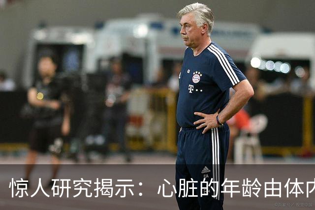 惊人研究揭示：心脏的年龄由体内环境决定！
